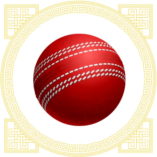 Cricket Balls