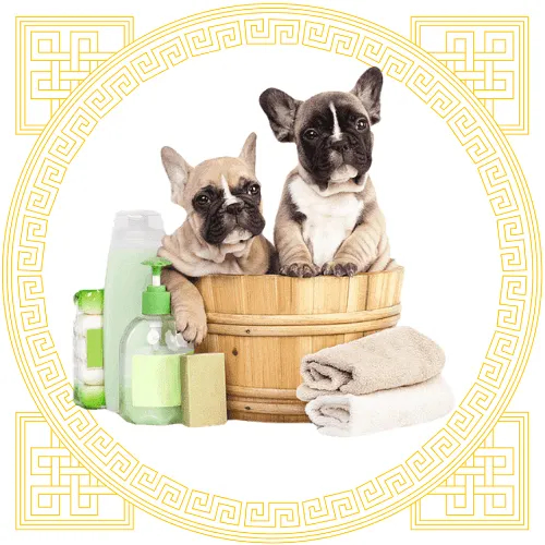 Pet Grooming Supplies