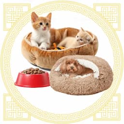 Pet Feeding, Bedding, and Accessories