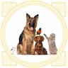 Pet Care Essentials