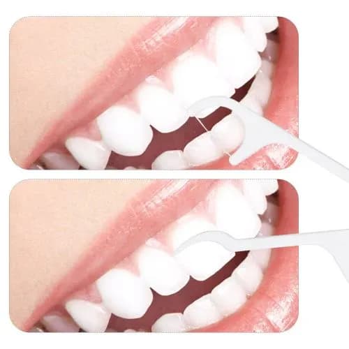 Oral Care Dental Floss Toothpick Sticks Main Image 6