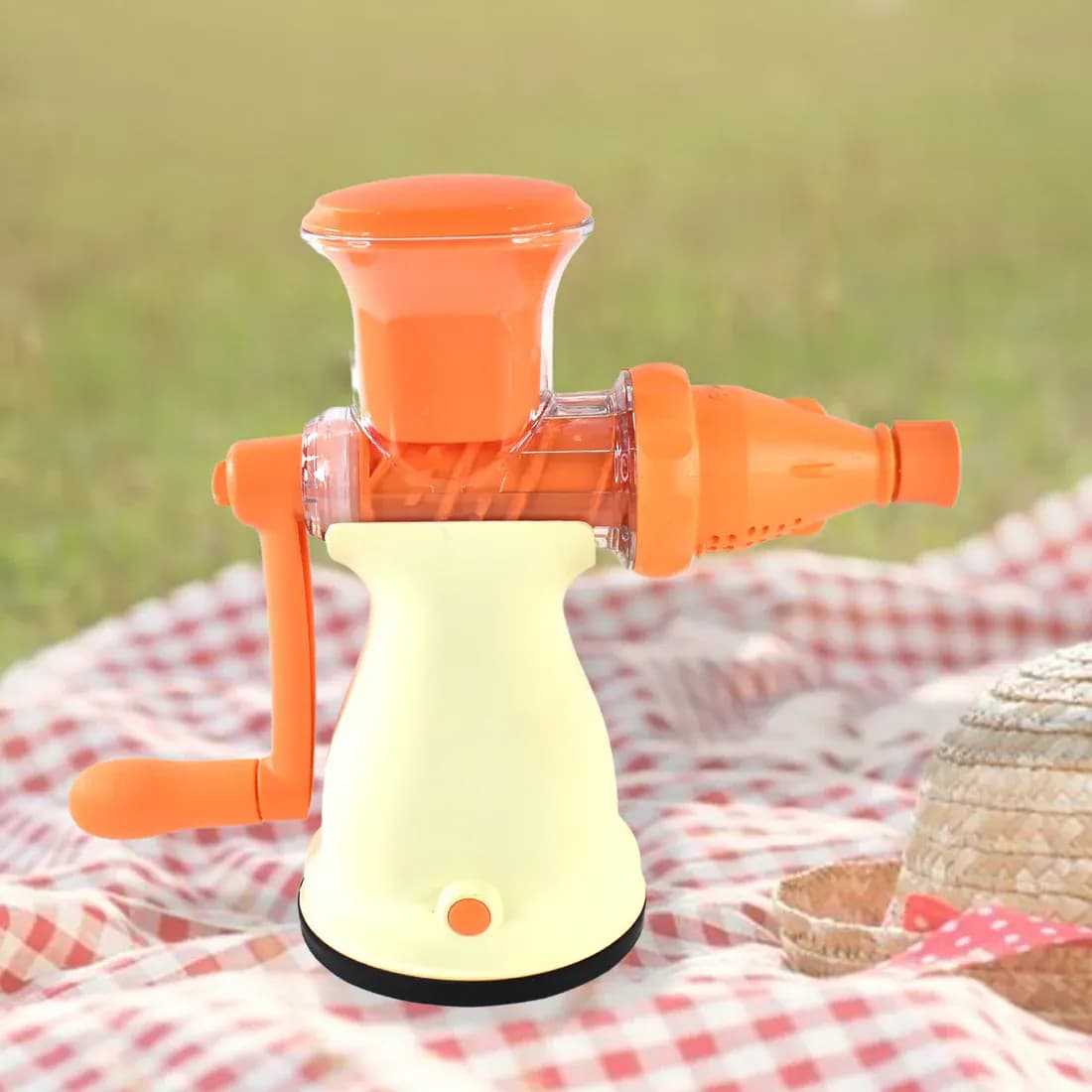 Fruit Juicer Main Image 2