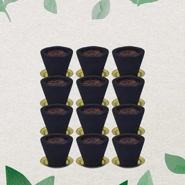 Sambrani Havan Cups (12 Pcs Set) Main Image 1