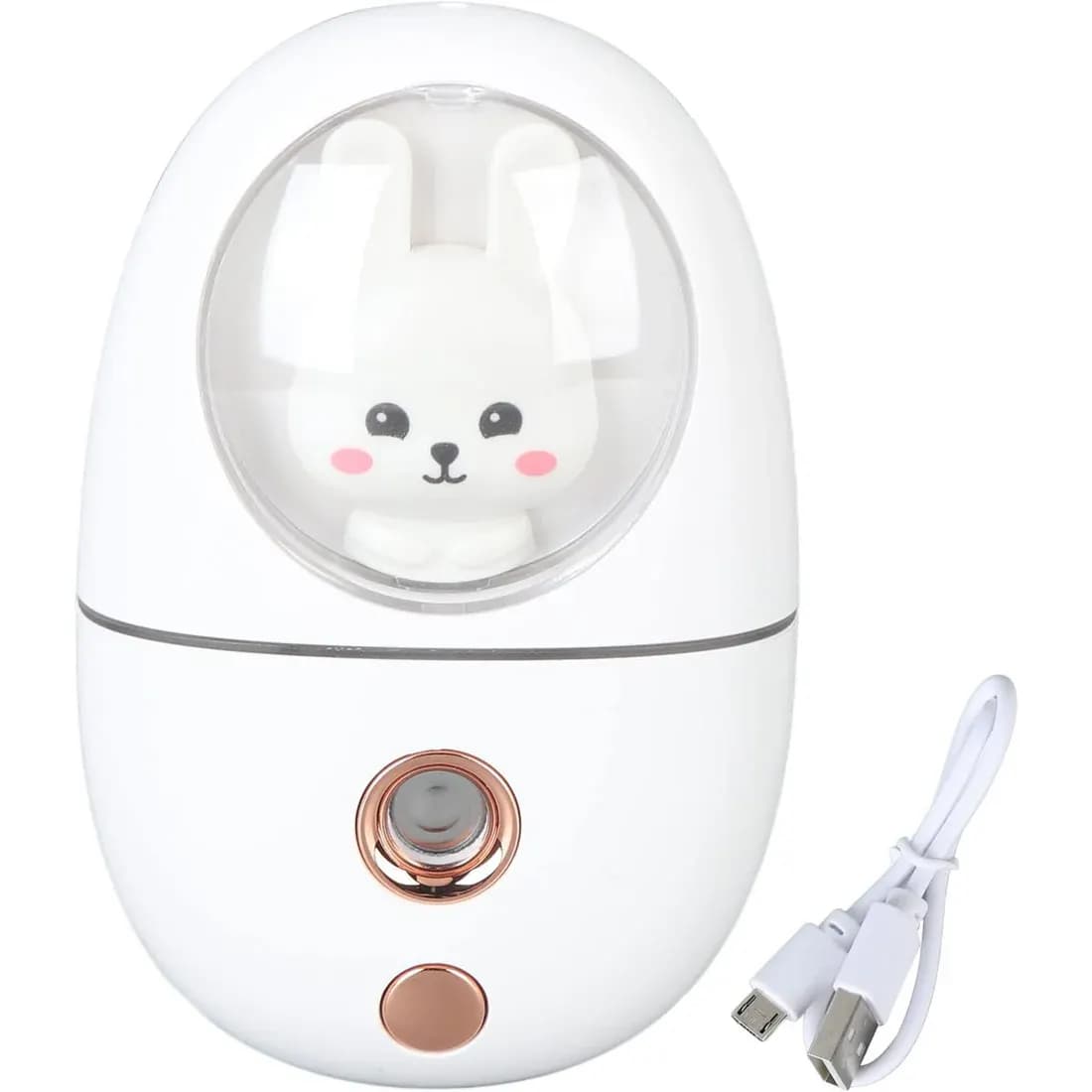 USB Rechargeable Humidifier & Mist Sprayer Main Image 1