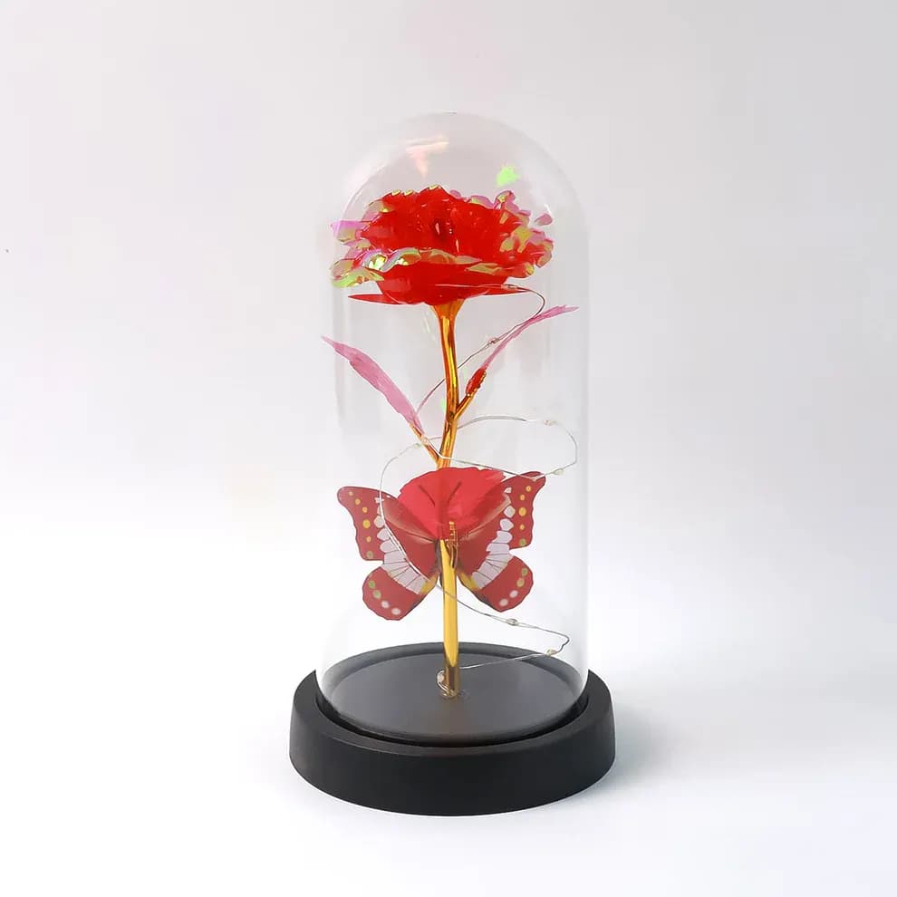 Elegant LED Eternal Rose in Plastic Dome (1 Pc / Battery Not included) Main Image 4