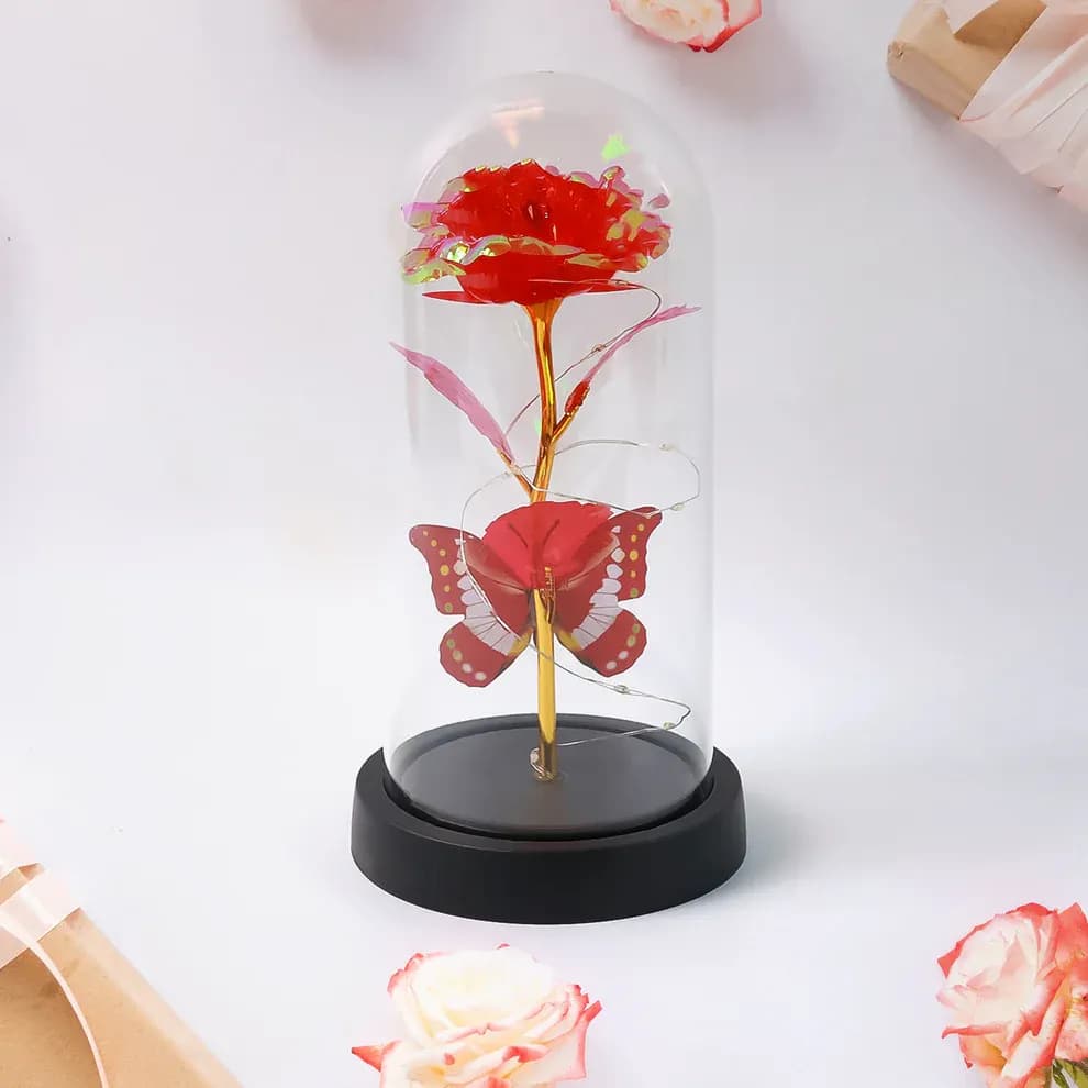Elegant LED Eternal Rose in Plastic Dome (1 Pc / Battery Not included) Main Image 3