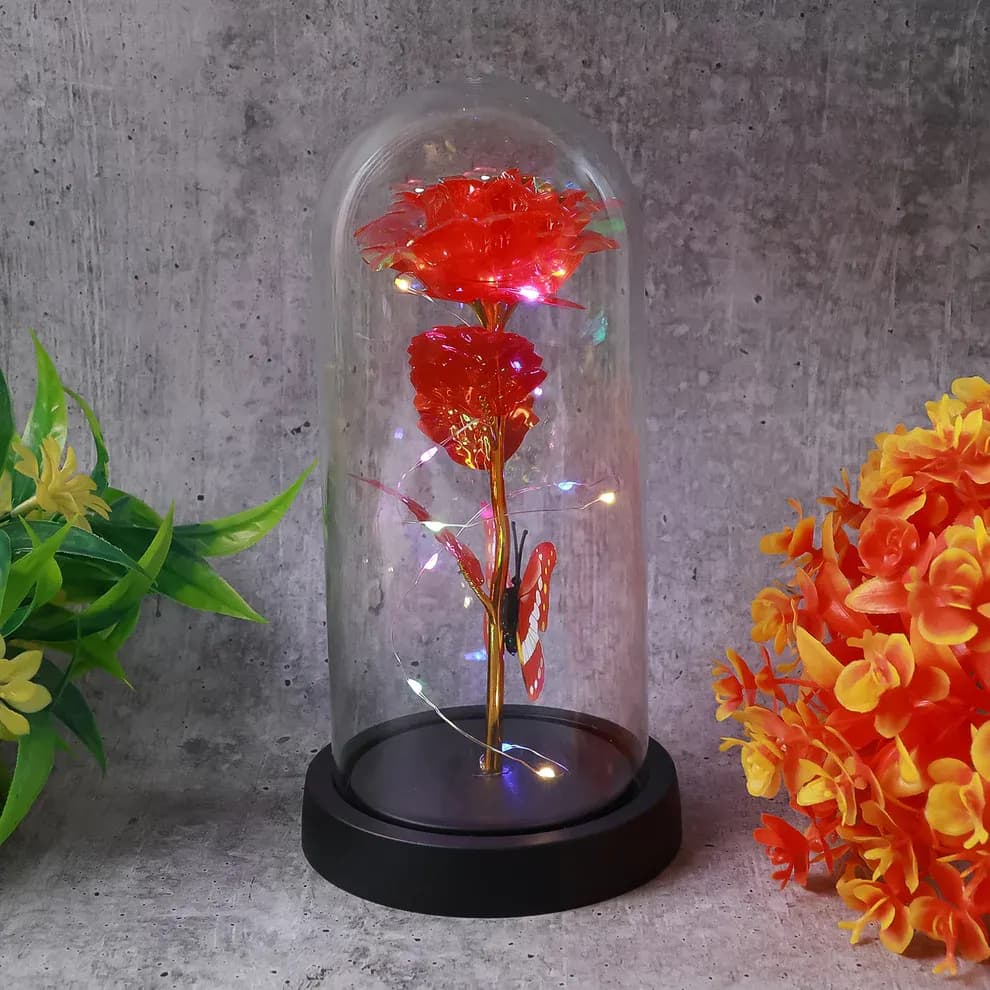 Elegant LED Eternal Rose in Plastic Dome (1 Pc / Battery Not included) Main Image 1