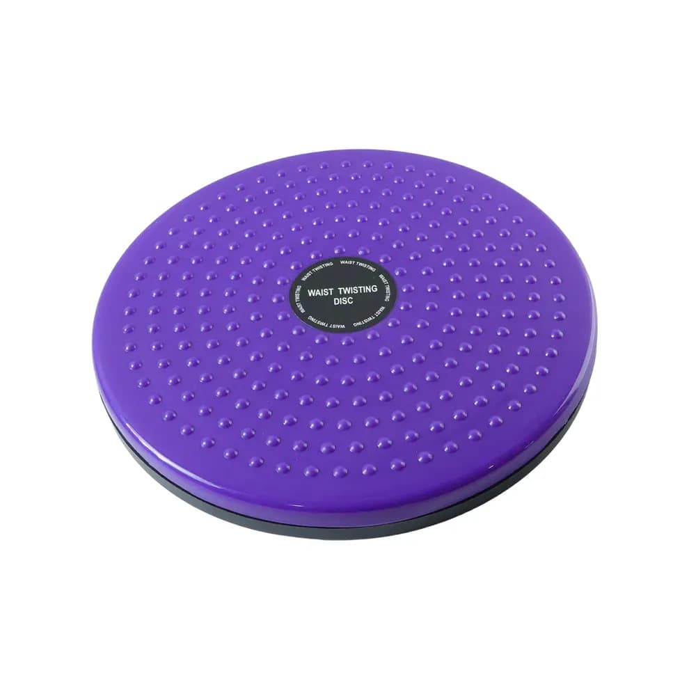 Waist Twisting Disc with Massage Function Main Image 3