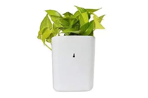 Plastic Vertical Hanging Planter Pot Main Image 5