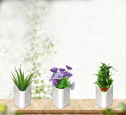 Plastic Vertical Hanging Planter Pot Main Image 1