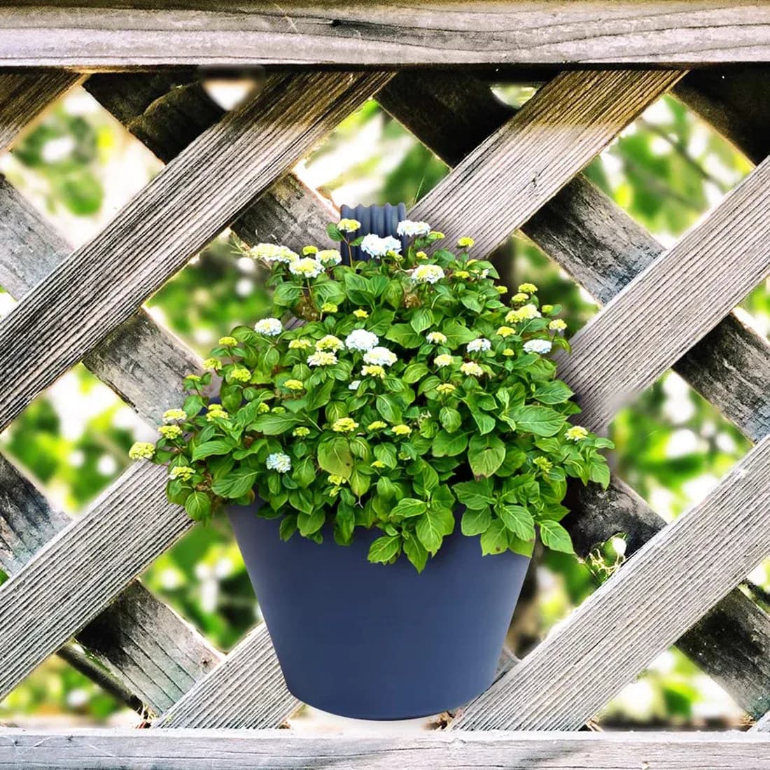 Hanging Planter Pot Main Image 6
