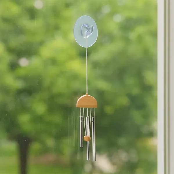 Transparent Wall-Mount Hook With Strong Grip Main Image 2